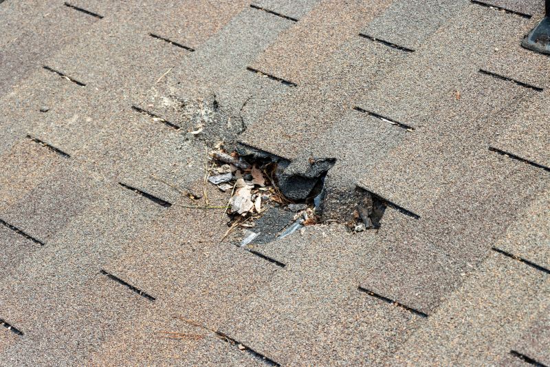 Damaged Roof Replacement in Tucker, GA
