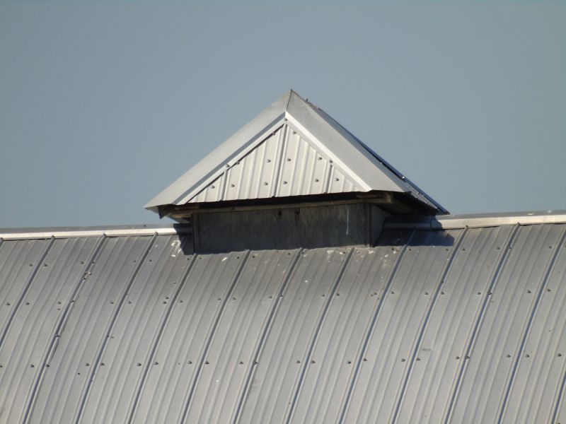 Tin Roof Installation in Rockdale County, GA